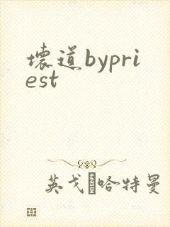 坏道bypriest