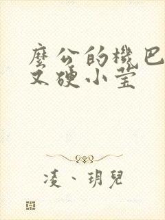 么公的机巴又粗又硬小莹