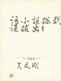 污小说总裁整夜没拔出t