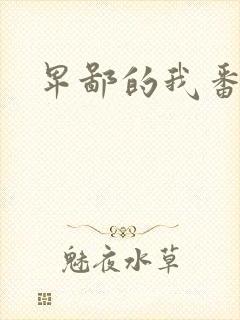 卑鄙的我番外篇