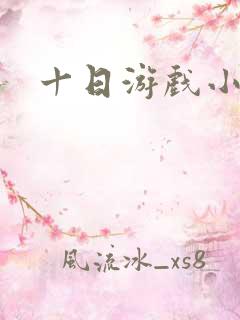 十日游戏小说