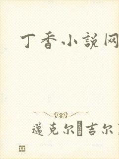 丁香小说网