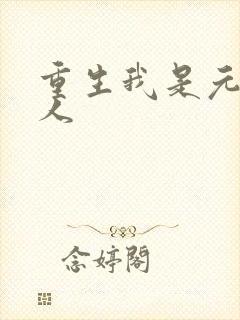 重生我是元帅夫人