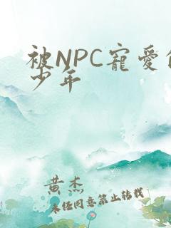 被NPC宠爱的少年
