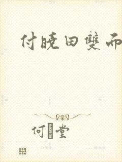 付晓田双面间谍