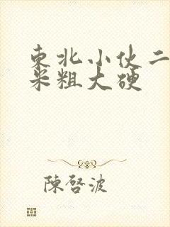 东北小伙二十厘米粗大硬