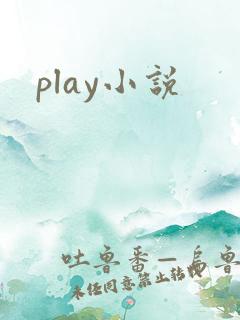 play小说