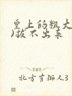 皇上的粗大(h)拔不出来