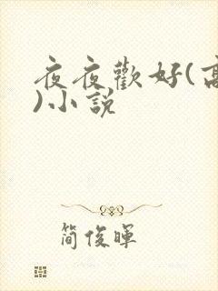夜夜欢好(高h)小说
