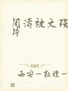 周涛被文强睡图片