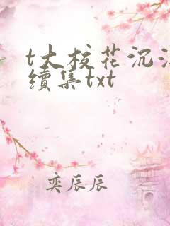 t大校花沉浮录续集txt