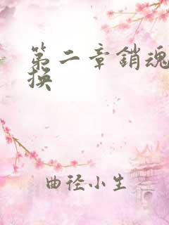 第二章销魂的交换