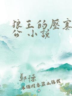 狼王的压寨小相公 小说