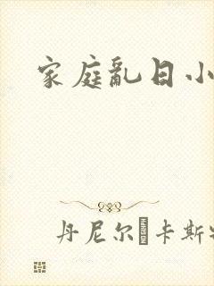 家庭乱日小说