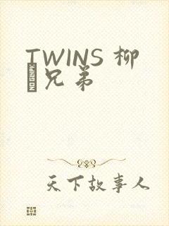 TWINS 柳澤兄弟