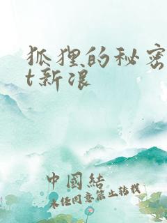 狐狸的秘密txt新浪