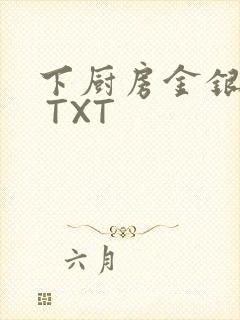 下厨房金银花露 TXT