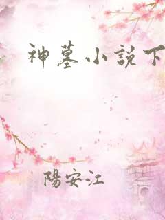 神墓小说下载