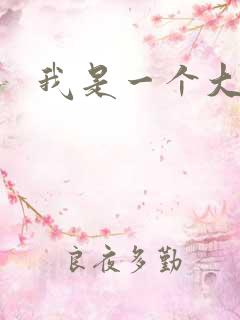 我是一个大盗贼