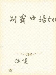 制霸中场txt