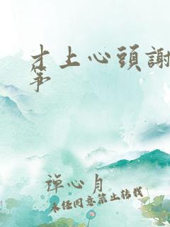 才上心头谢柳陆筝