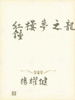 红楼梦之龙套秦钟