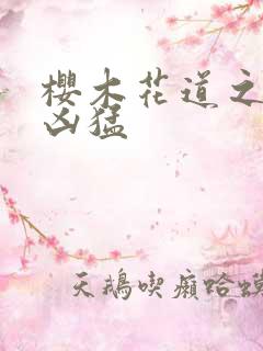 樱木花道之重生凶猛