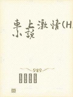 车上激情(H)小说