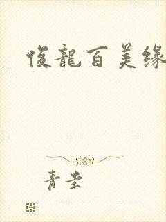 俊龙百美缘小说