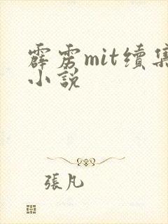 霹雳mit续集小说