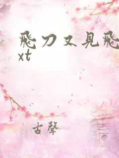 飞刀又见飞刀txt
