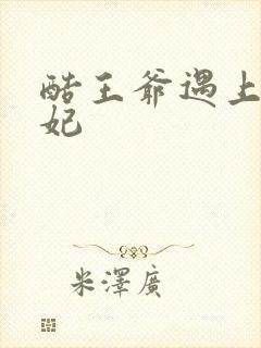 酷王爷遇上穿越妃