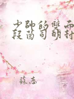 少帅的双面宠妻段茵司明封免费