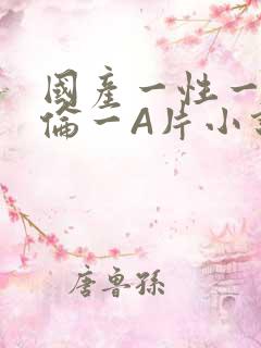 国产一性一交一伦一A片小说