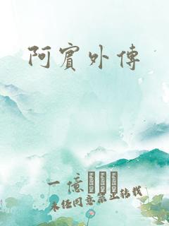 阿宾外传