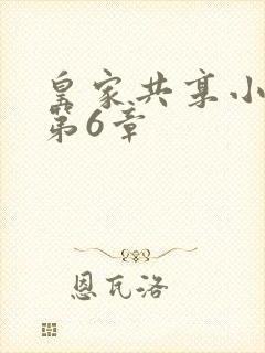 皇家共享小公主第6章