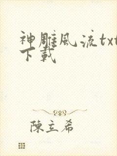 神雕风流txt下载