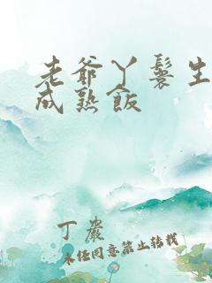 老爷丫鬟生米煮成熟饭