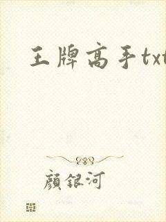 王牌高手txt