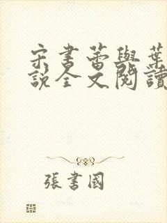 宋书蕾与叶临小说全文阅读