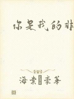 你是我的非卖品