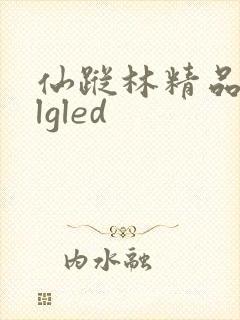 仙踪林精品zzlgled