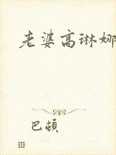 老婆高琳娜出轨