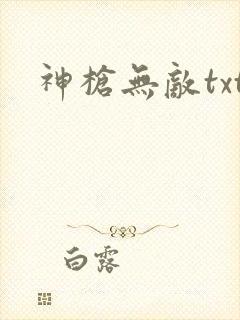 神枪无敌txt