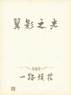 翼影之光