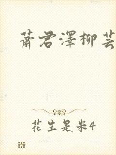 萧君泽柳芸小说