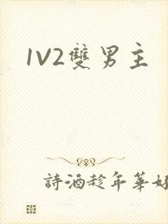 1V2双男主