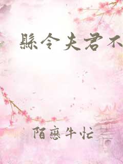 县令夫君不升堂