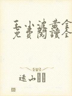 王小波黄金时代免费阅读全文