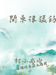 开车很猛的古文